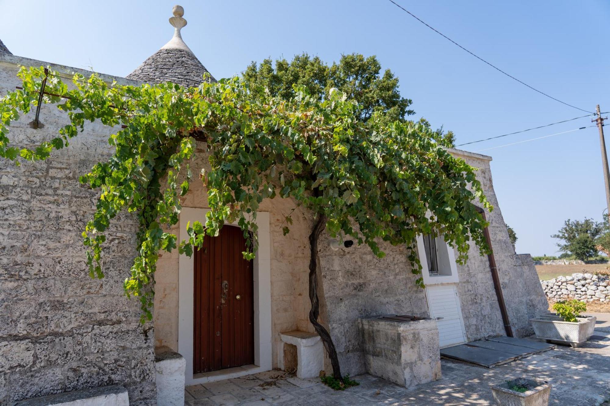 Trullo Vacanze Di Cumma Rosa Alberobello Extérieur photo